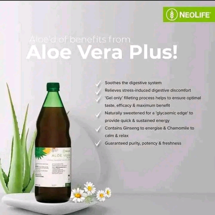 Detoxifies the Body